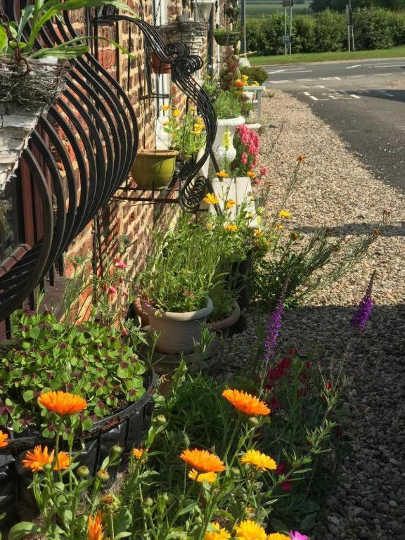 Oyo Yarm Cottages Kirklevington Zewnętrze zdjęcie